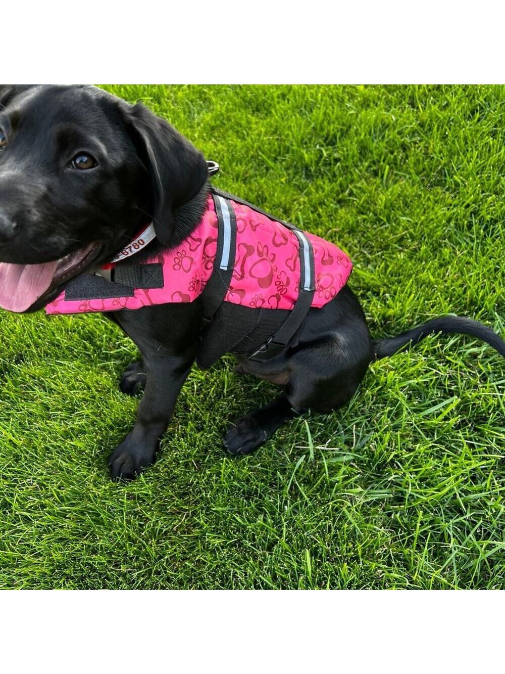 Dog Life Pink Life Vest Jacket, Size S